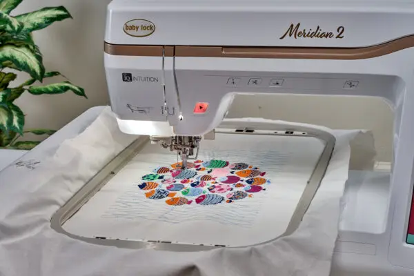 Meridian 2 hoop